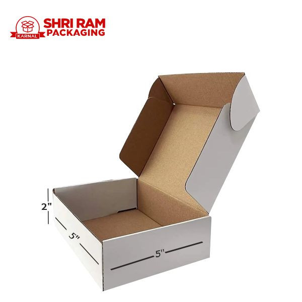 Shri Ram Packaging 3 Ply White Flap Box 5x5x2 Inch Pack of 1000  | Shipping & Packaging Box