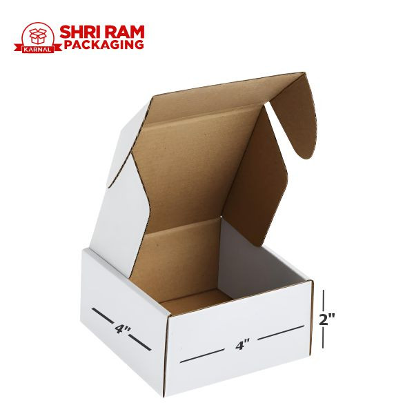 Shri Ram Packaging 3 Ply White Flap Box 4x4x2 Inch Pack of 1000  | Shipping & Packaging Box